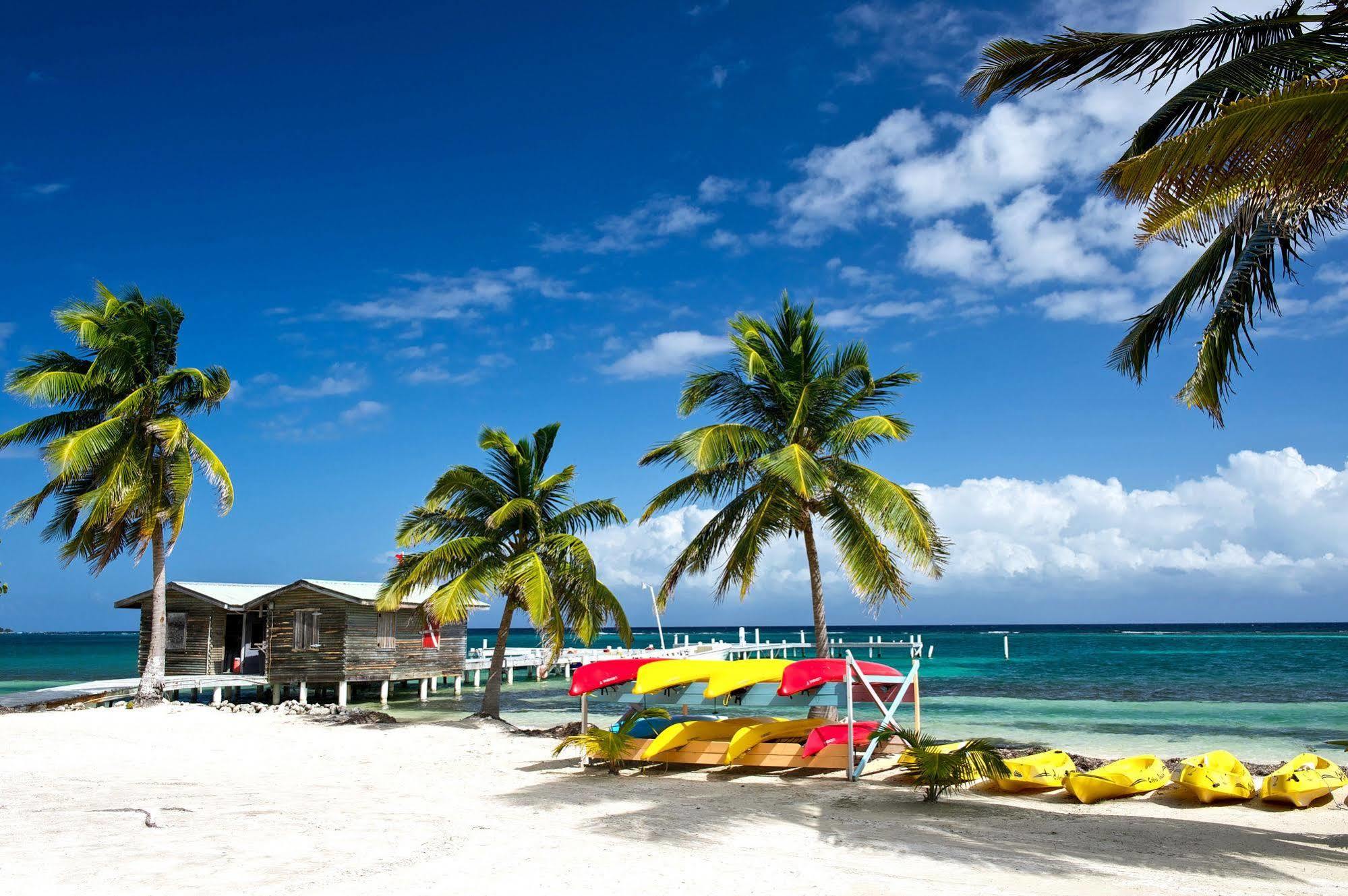 Blackbird Caye Resort Turneffe Atoll Eksteriør bilde