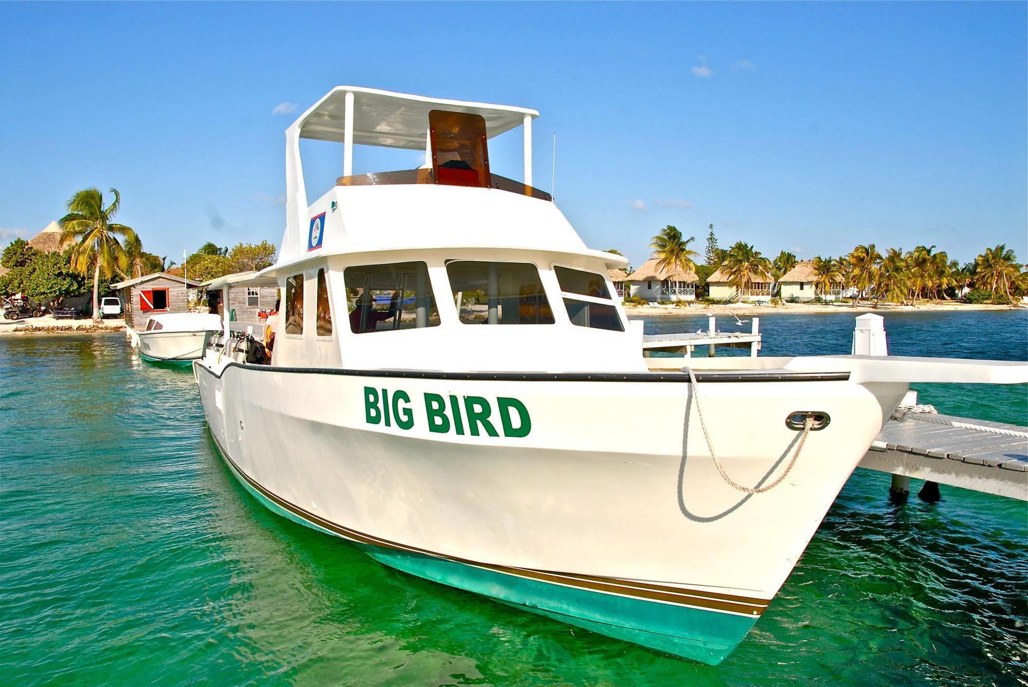 Blackbird Caye Resort Turneffe Atoll Eksteriør bilde