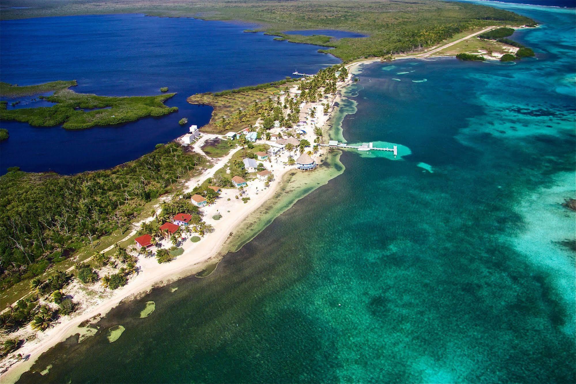 Blackbird Caye Resort Turneffe Atoll Eksteriør bilde