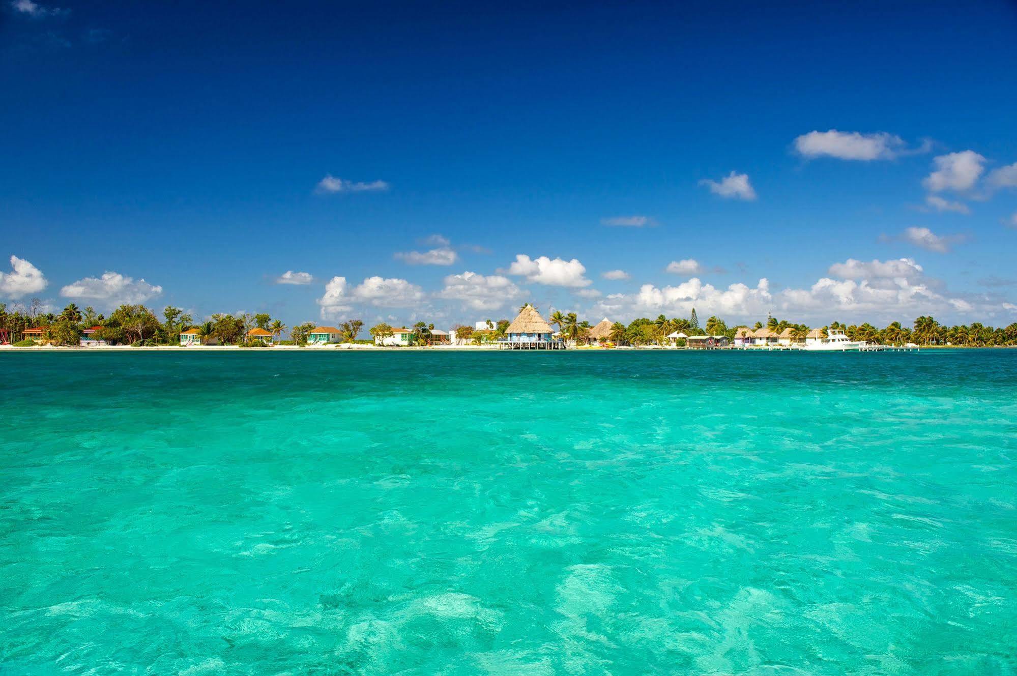 Blackbird Caye Resort Turneffe Atoll Eksteriør bilde
